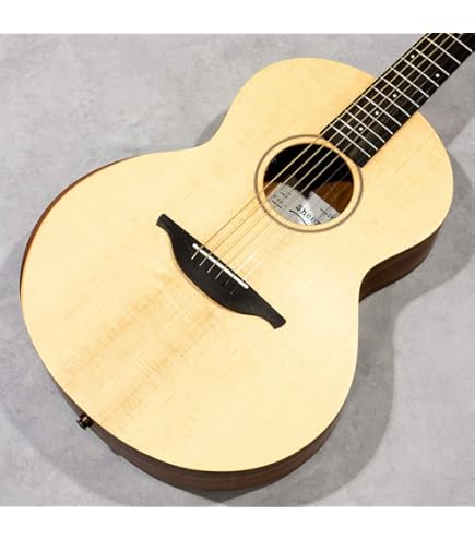 アコギ　シーランバイローデン　Sheeran BY lowden W01 The W01 guitar | W-Series | Sheeran by Lowden — Sheeran Guitars